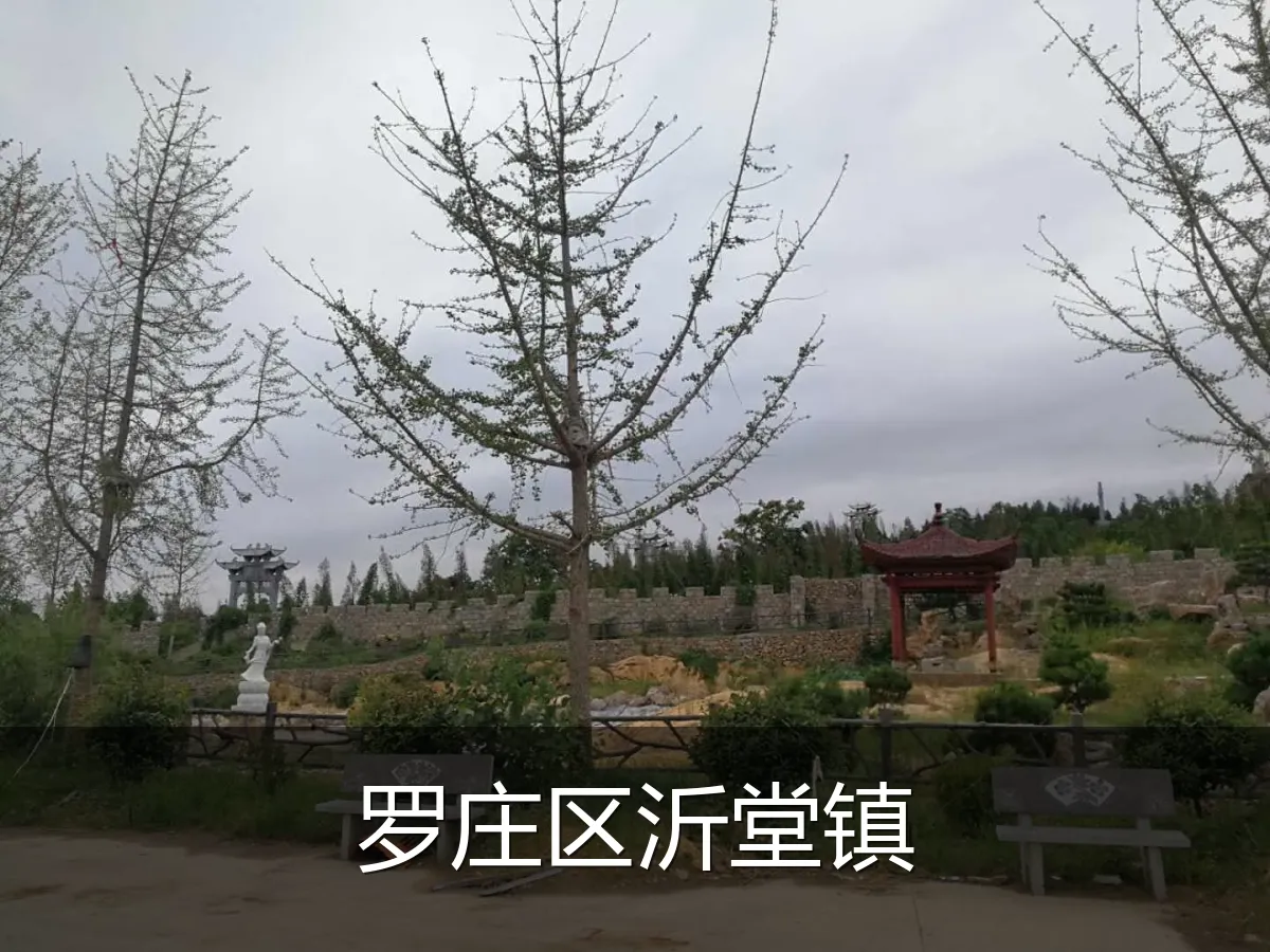 罗庄区沂堂镇