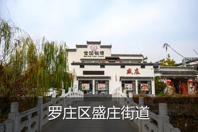 罗庄区盛庄街道